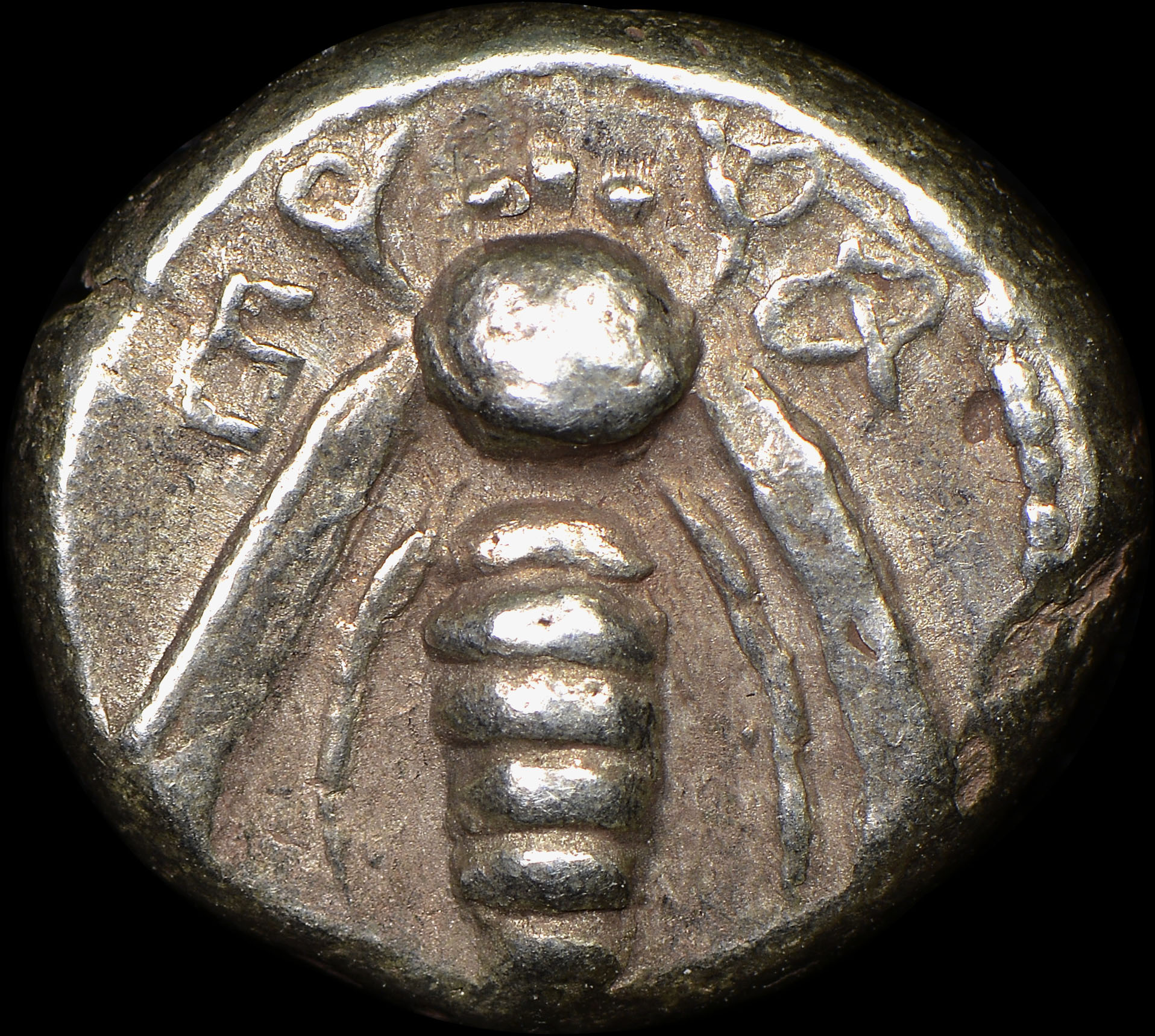 4682223-001.JPG