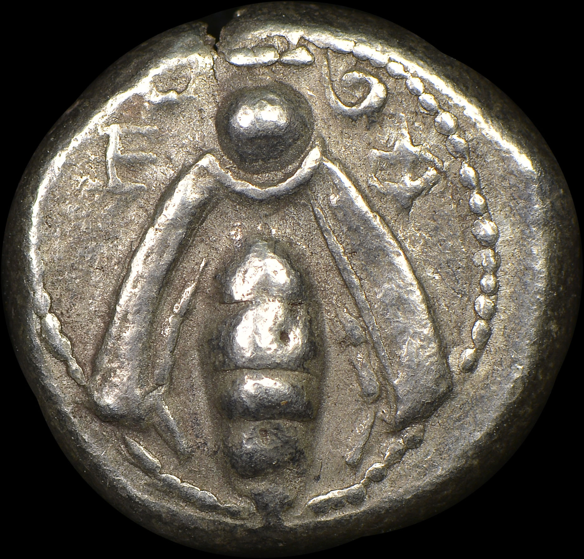 4682223-004.JPG