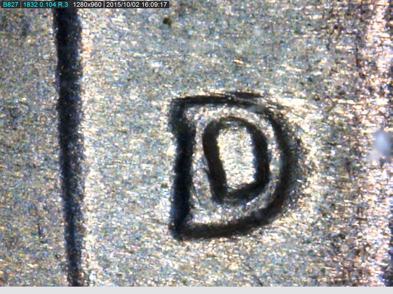 47 D.jpg
