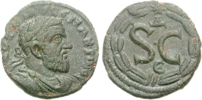 473113.jpg