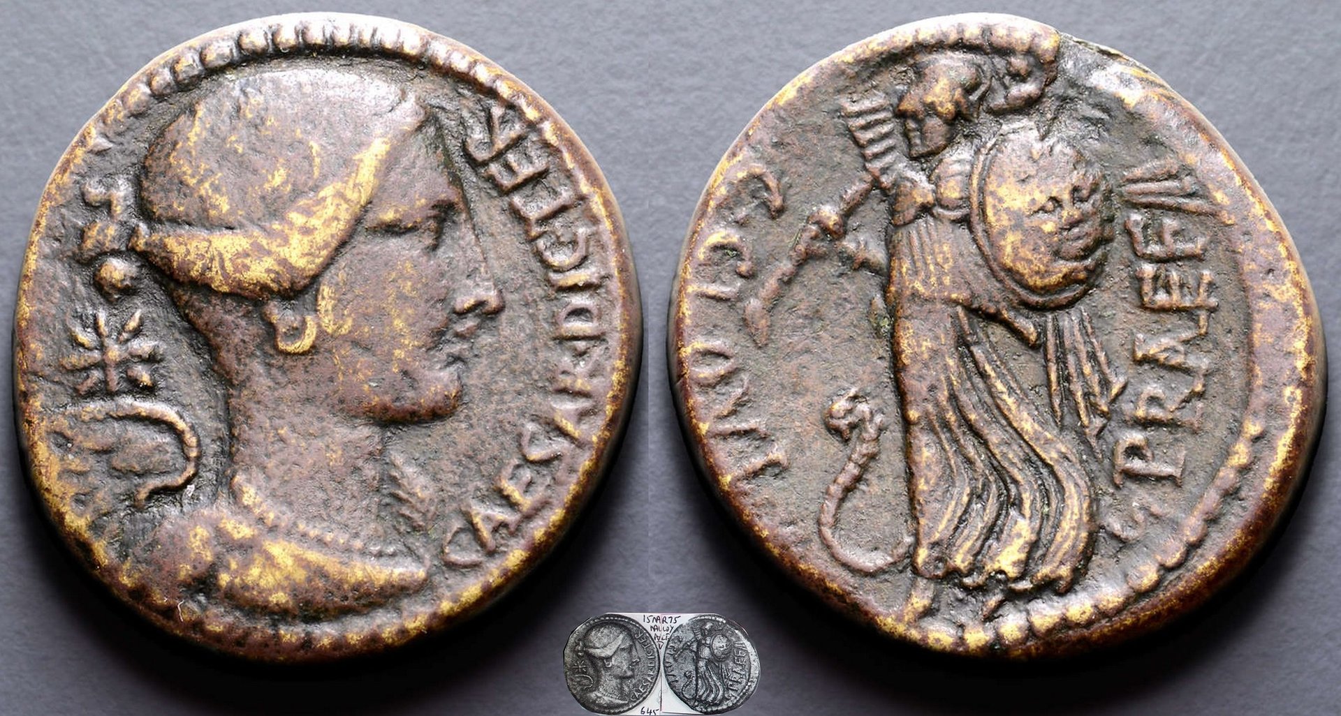 476-01b Clovia & Caesar Dupondius. C.CLOVI.PRAEF CAESAR Victory, Minerva.  25mm 14g62.jpg