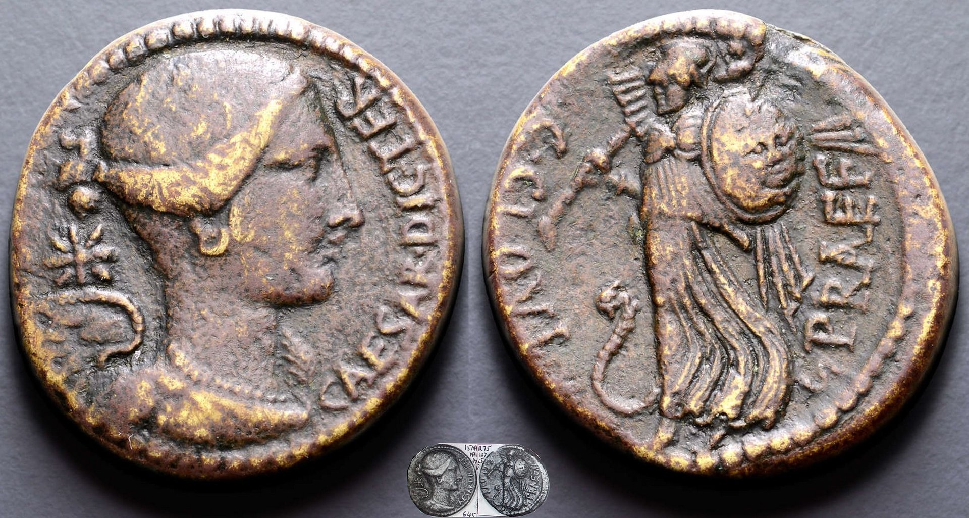 476-01b Clovia & Caesar Dupondius. C.CLOVI.PRAEF CAESAR Victory, Minerva.  25mm 14g62.jpg