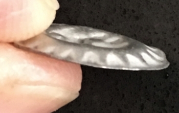 4762 side view.jpg