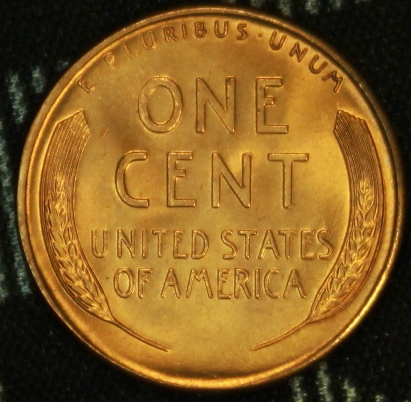 47d linc rev 2.jpg