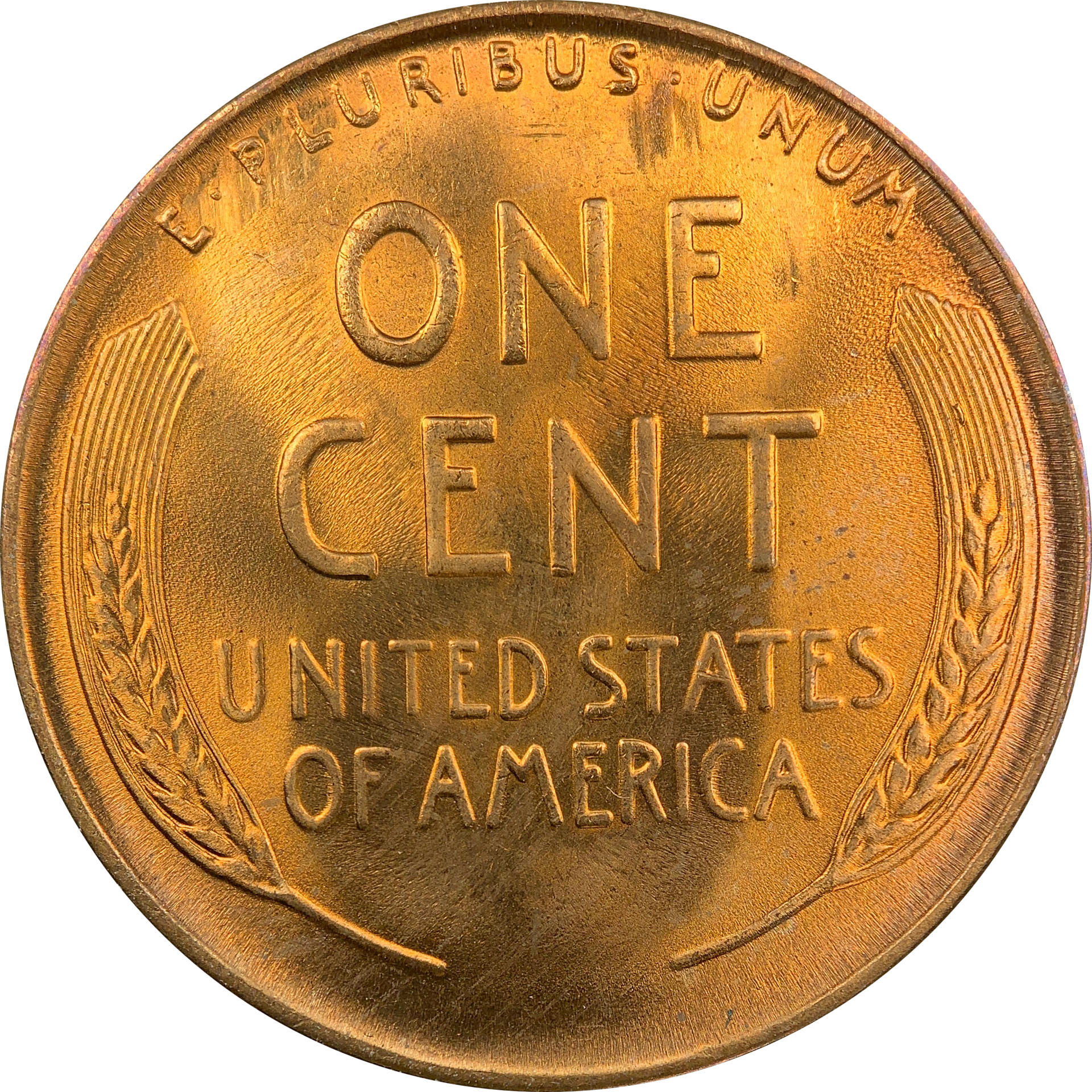 47E49481-3467-4F07-BA5C-E06E4AF7442A.png