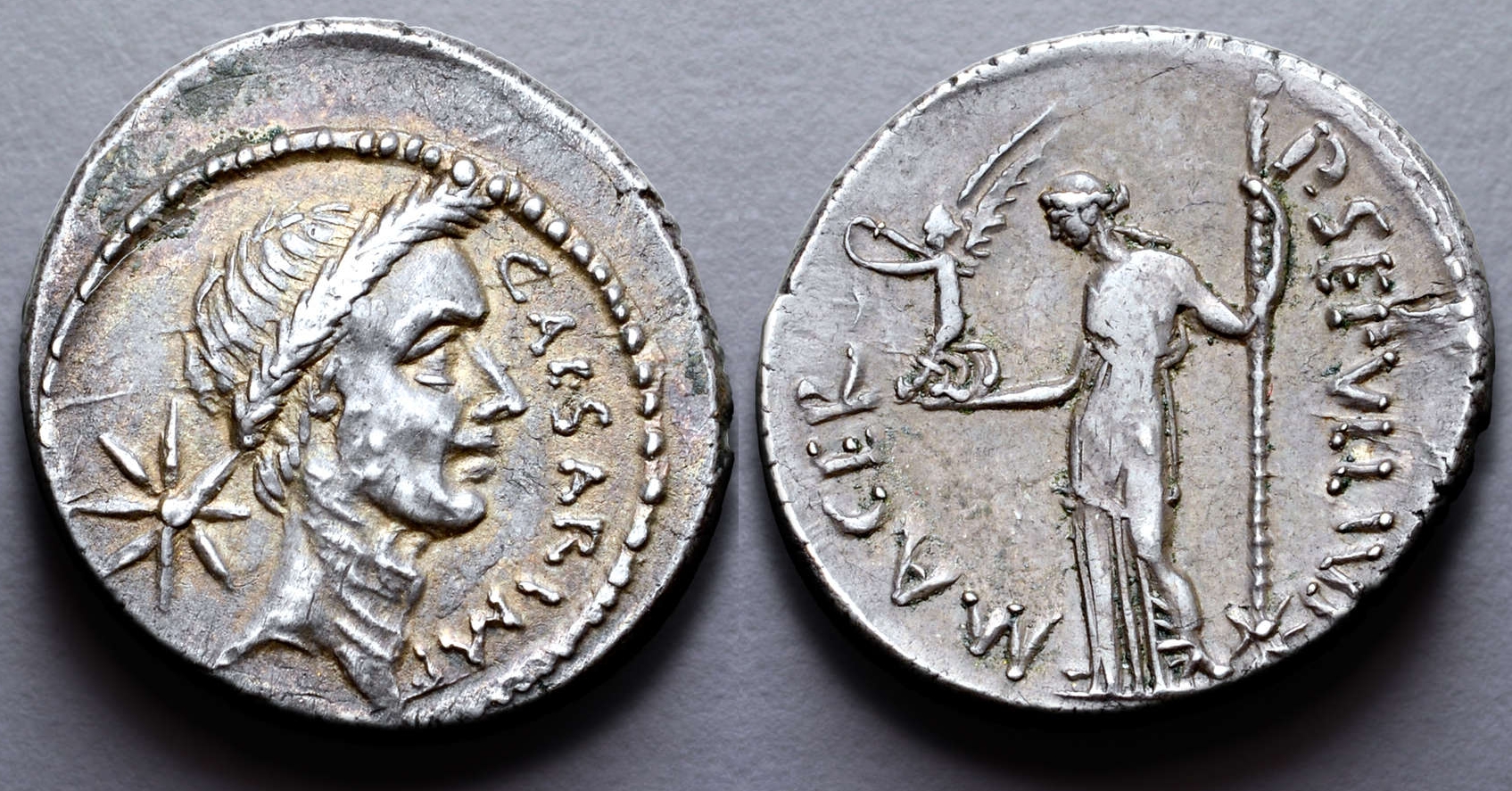 480-05b Sepullia & Caesar Denarius. P.SEPVLLIVS MACER Caesar, Venus. AM#14140-42, 20mm 4g18.jpg