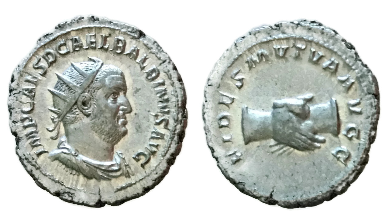 4851.jpg