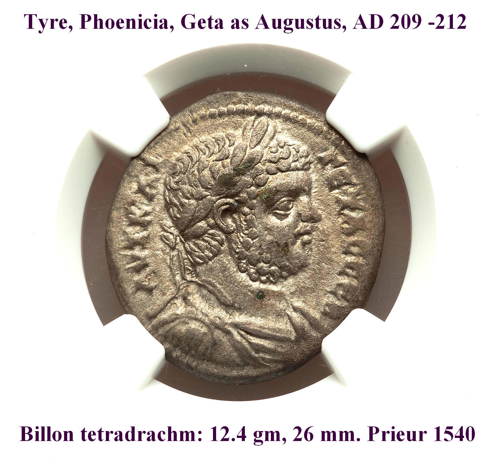 4884217-008, obv. enlarged.jpg