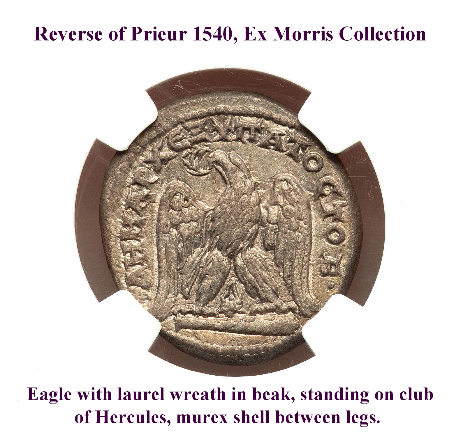 4884217-008, rev. enlarged.jpg