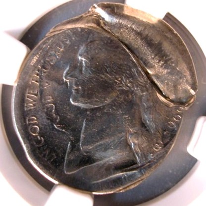48983263_scaled_416x416.jpg