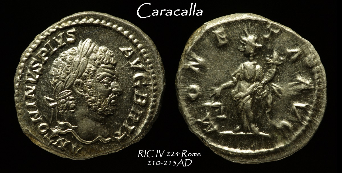 48a.jpg