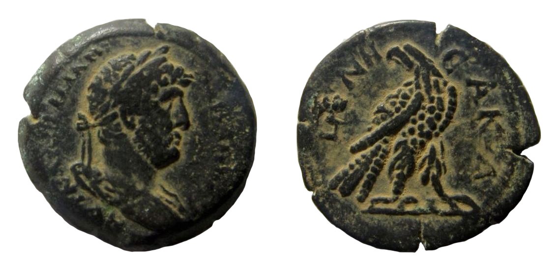 491 P Hadrian Emmett1122.19.jpg
