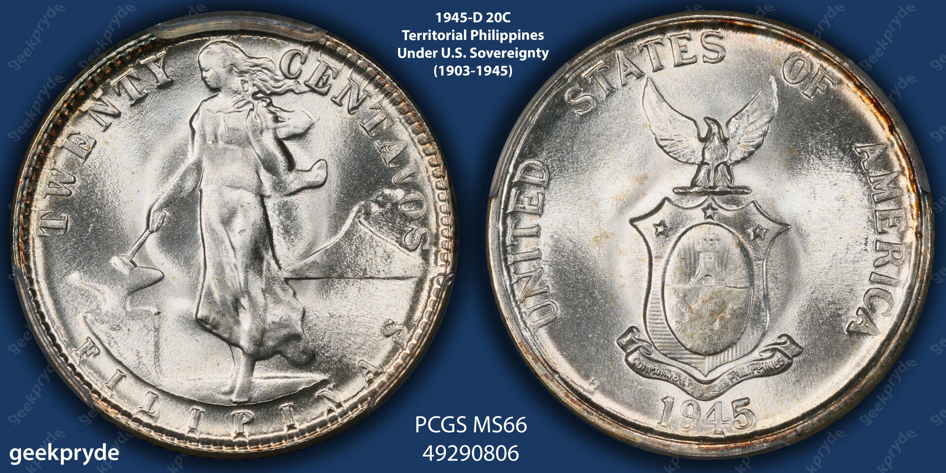 49290806 template.jpg