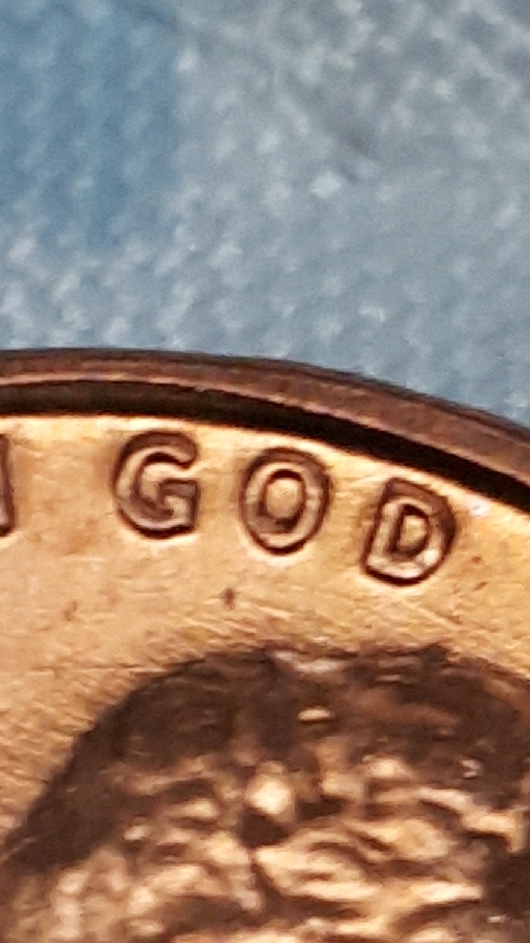 494.jpeg