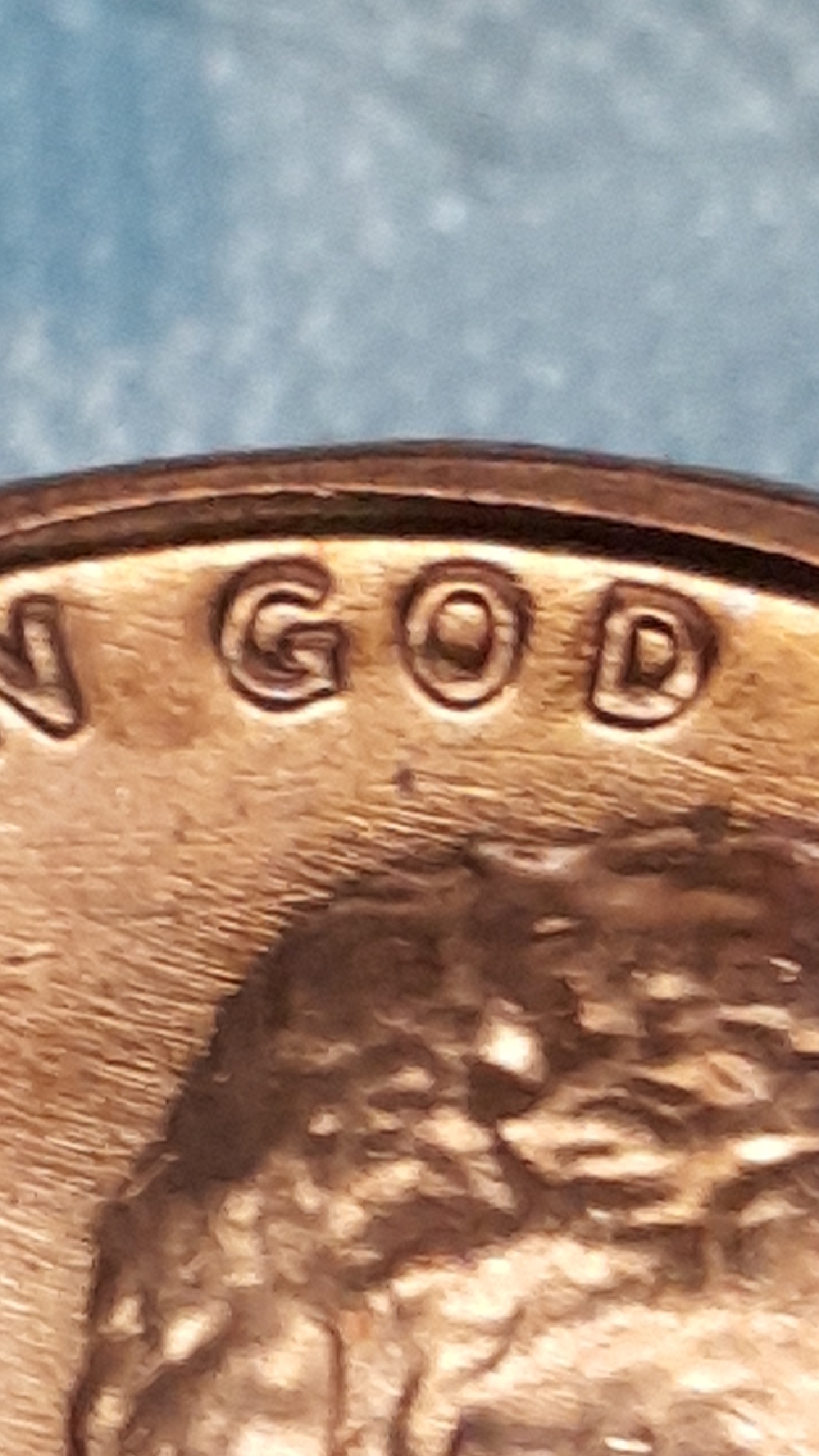 495.jpeg