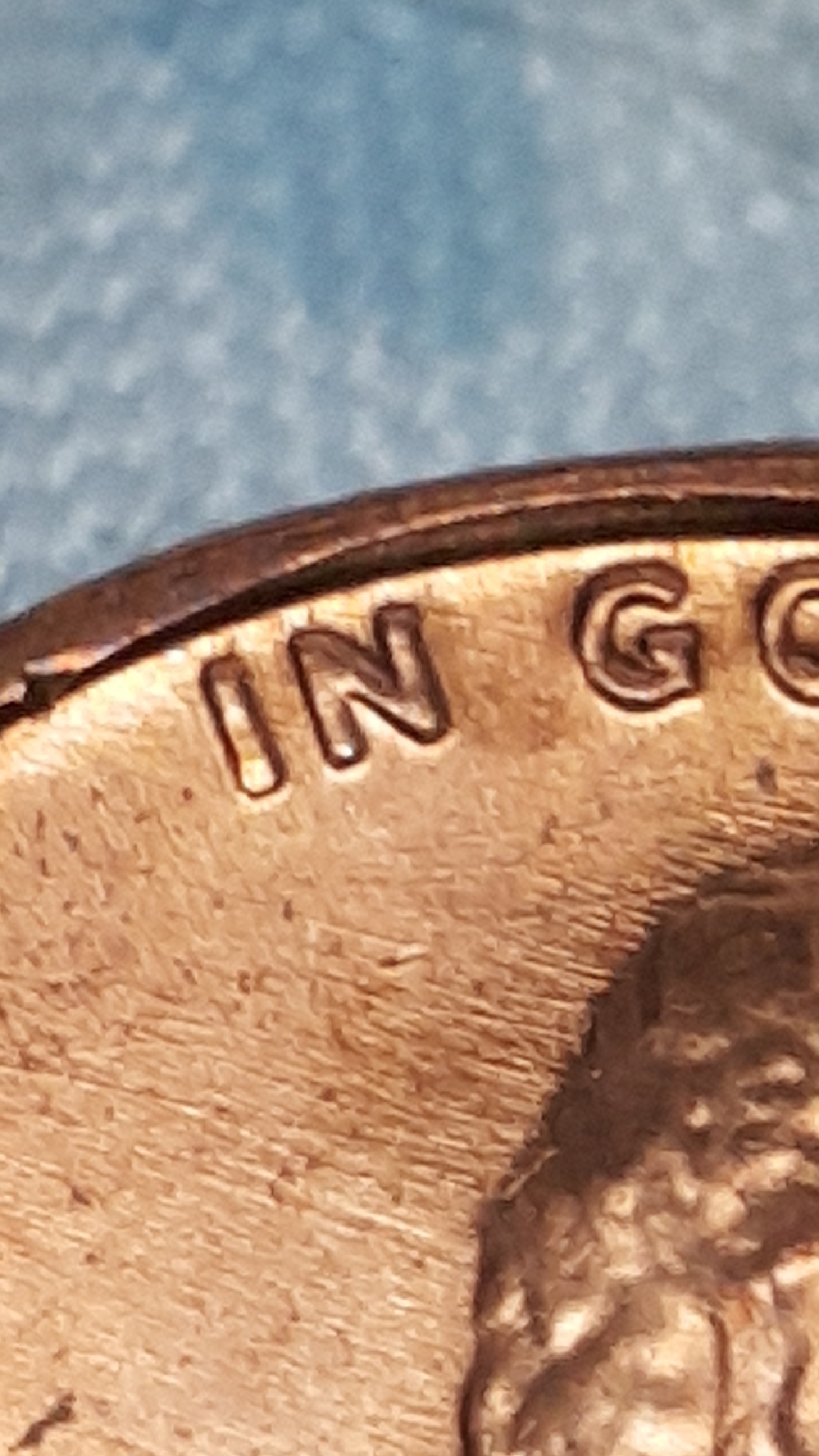 496.jpeg