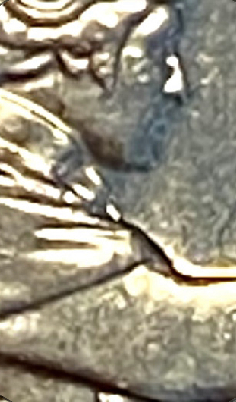 4A781423-5495-473A-93D1-C79F9E3E0FB5.jpeg