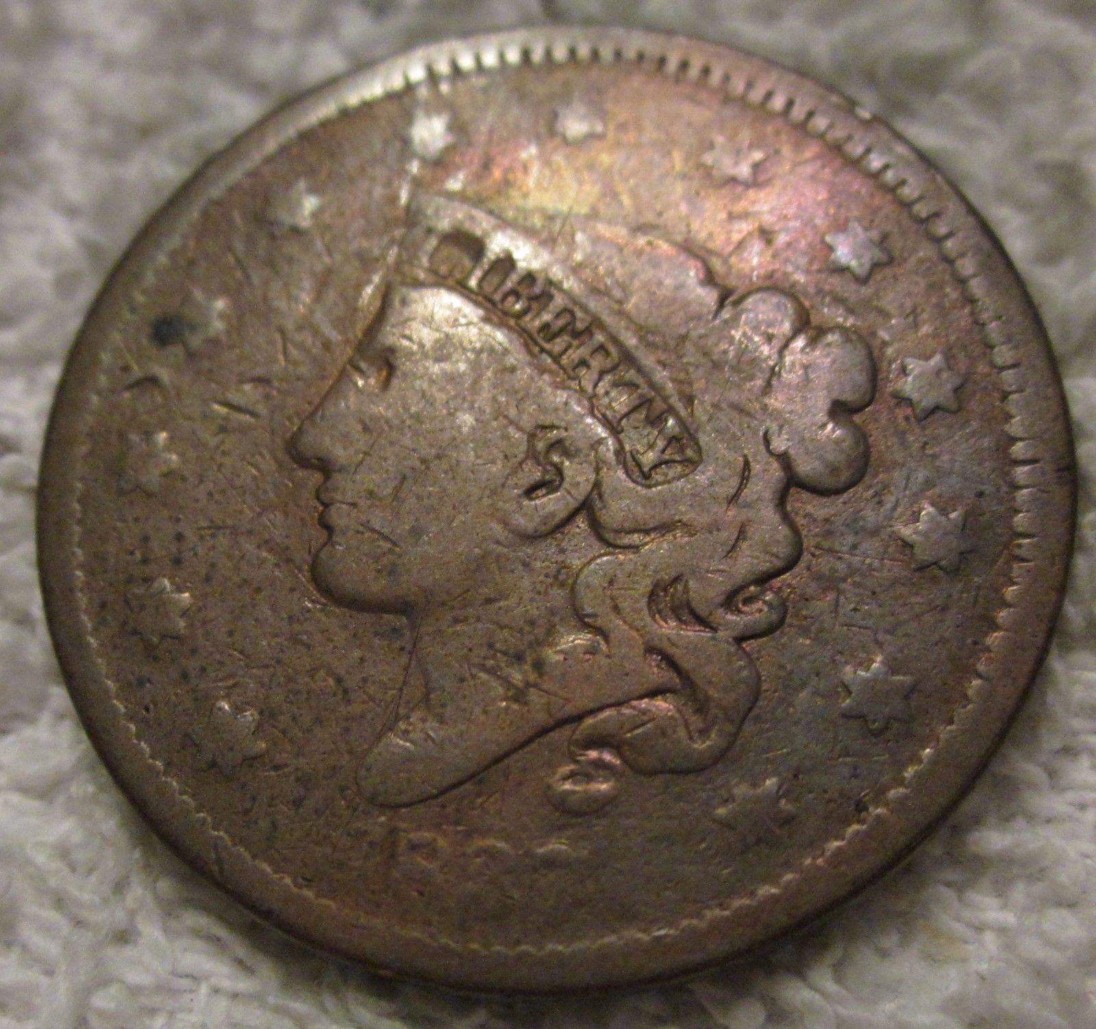 4c.jpg