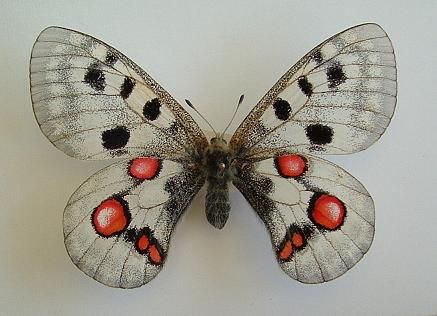 4c34b18c09edcae2f200cc73b126d493.jpg
