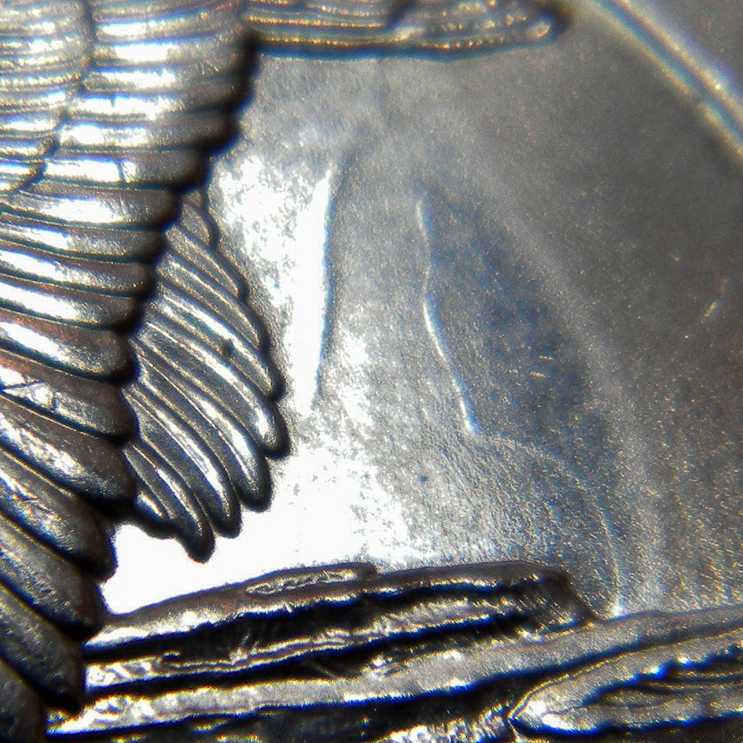 4DSCN4235 Top1.jpg