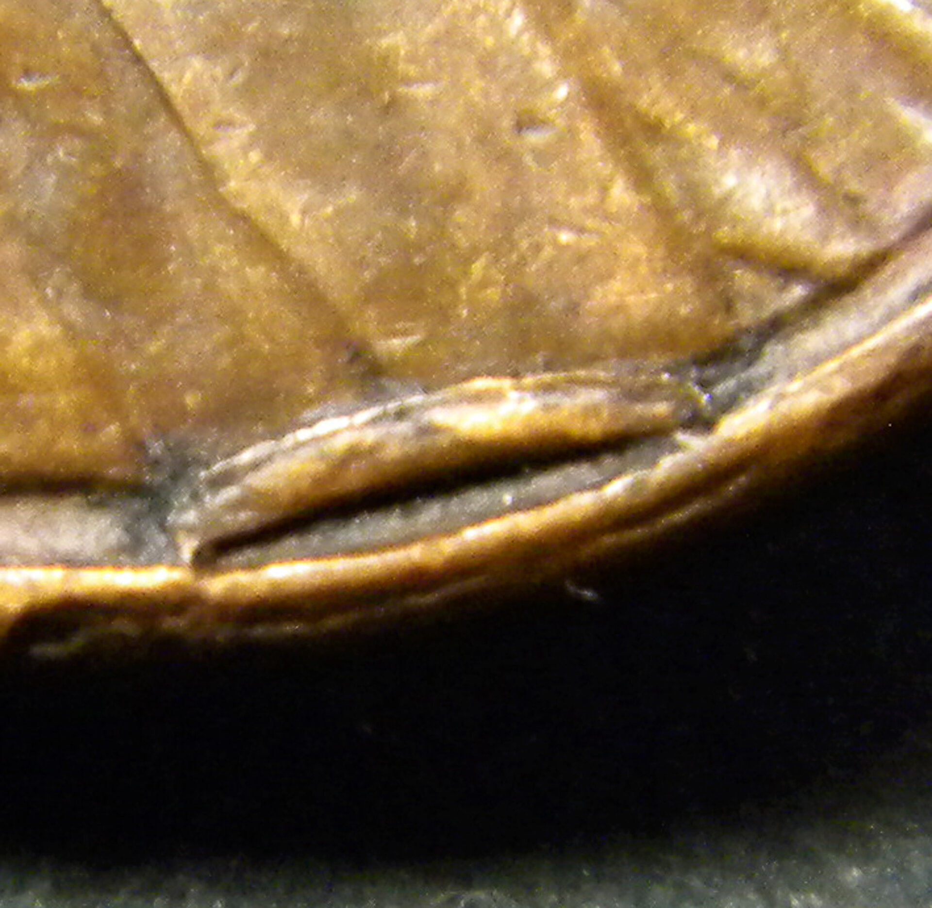 4DSCN8560aT.jpg