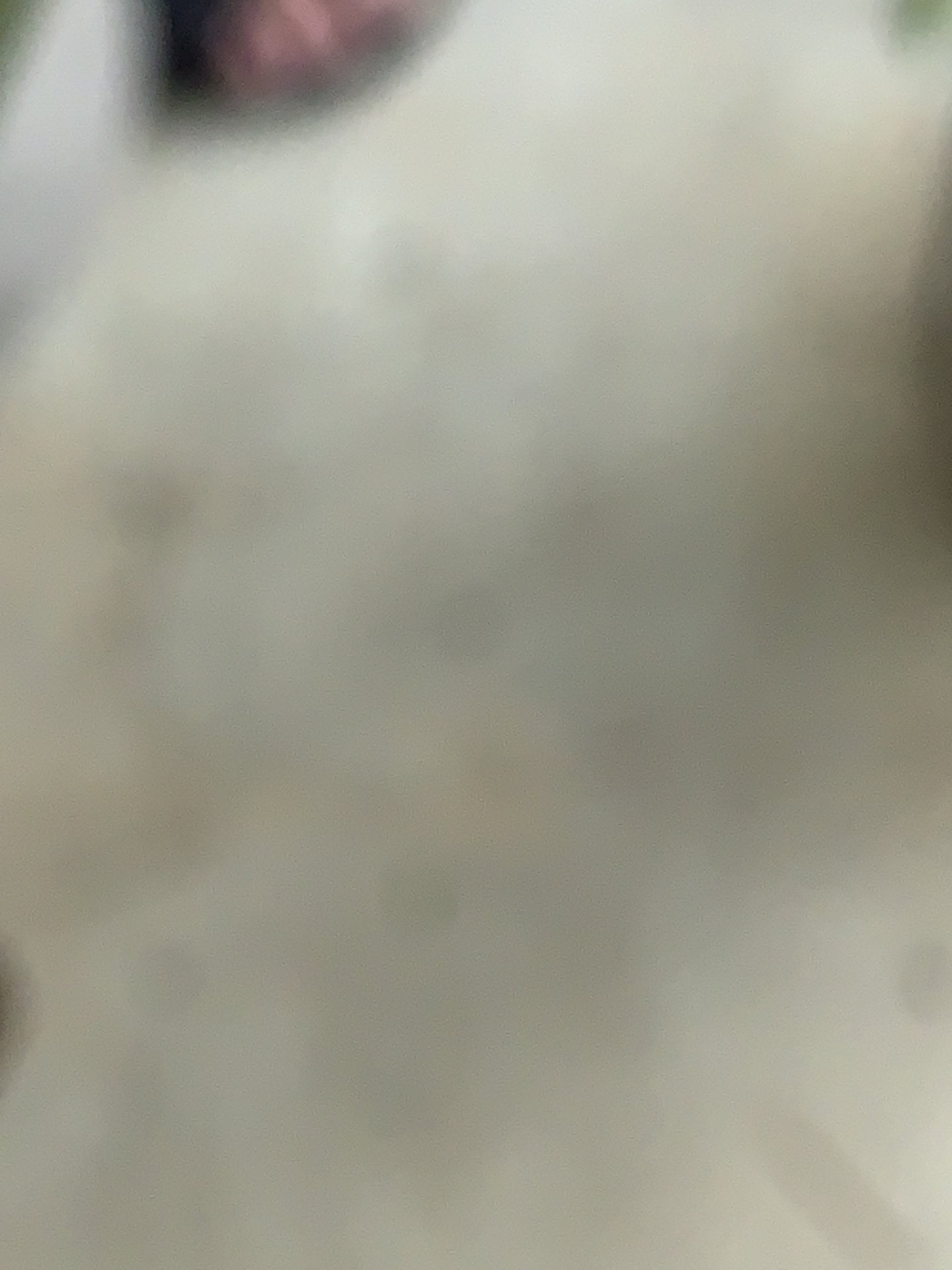 4E0DF46F-2CE8-408B-8E49-3B8BB1123510.jpeg