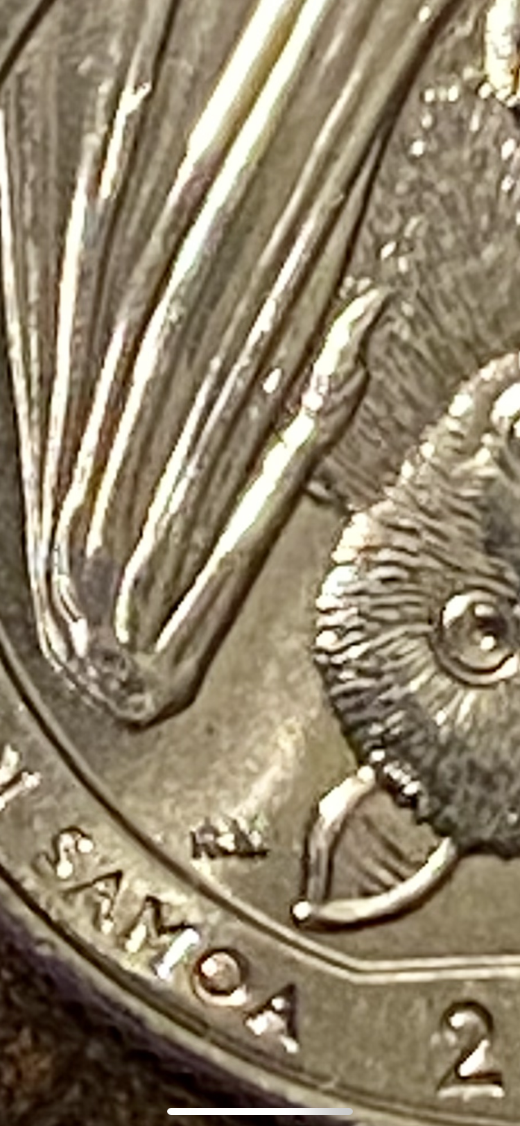 4F882866-12D4-4879-8B4A-322F795E29F9.png