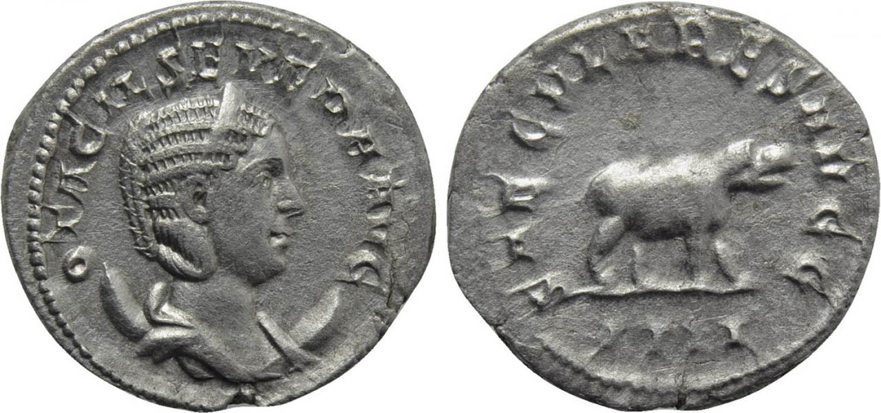 4OtSevera-off4.jpg