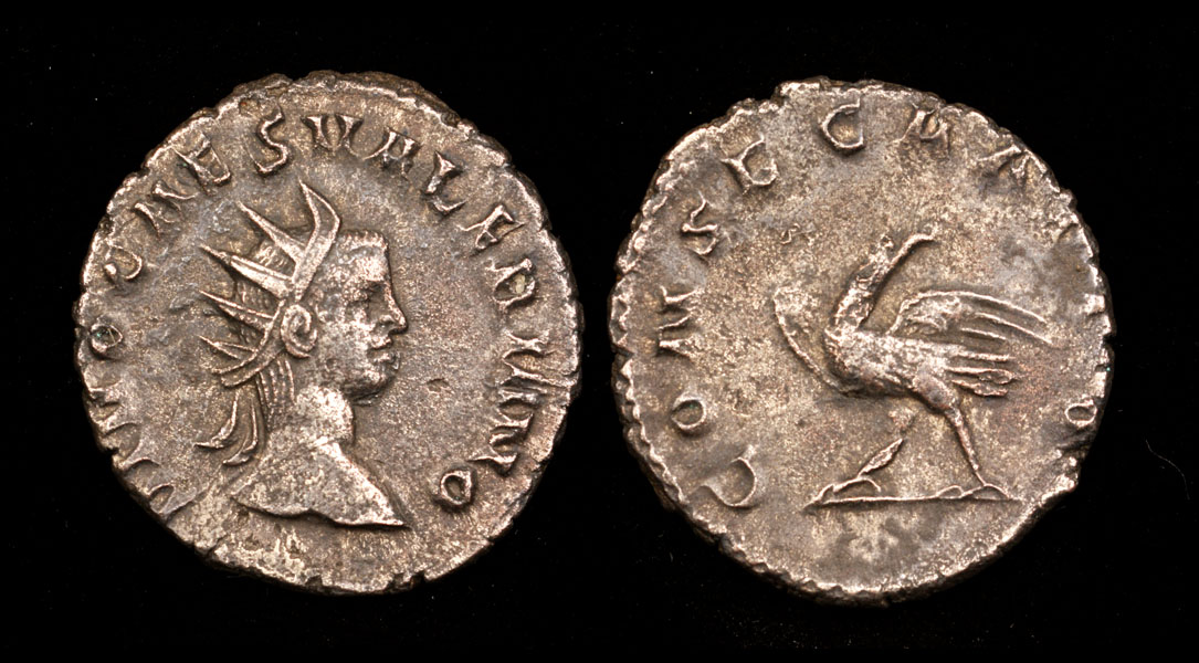 4valrnII01-bm72-sm.jpg