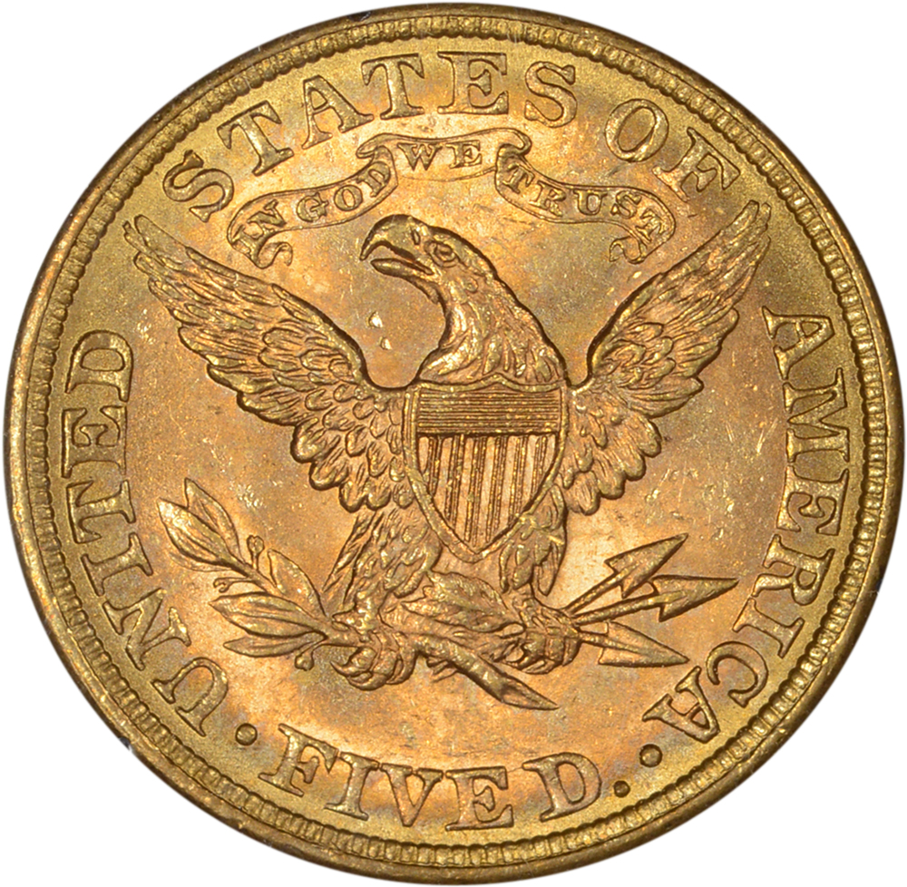 5.00-1881-2.jpg