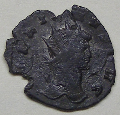 5.24.16 016.JPG