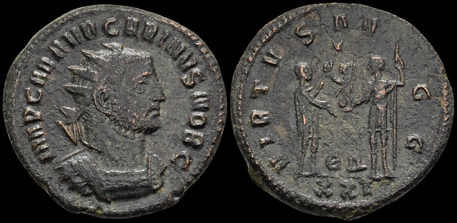5.900 Carinus.jpg