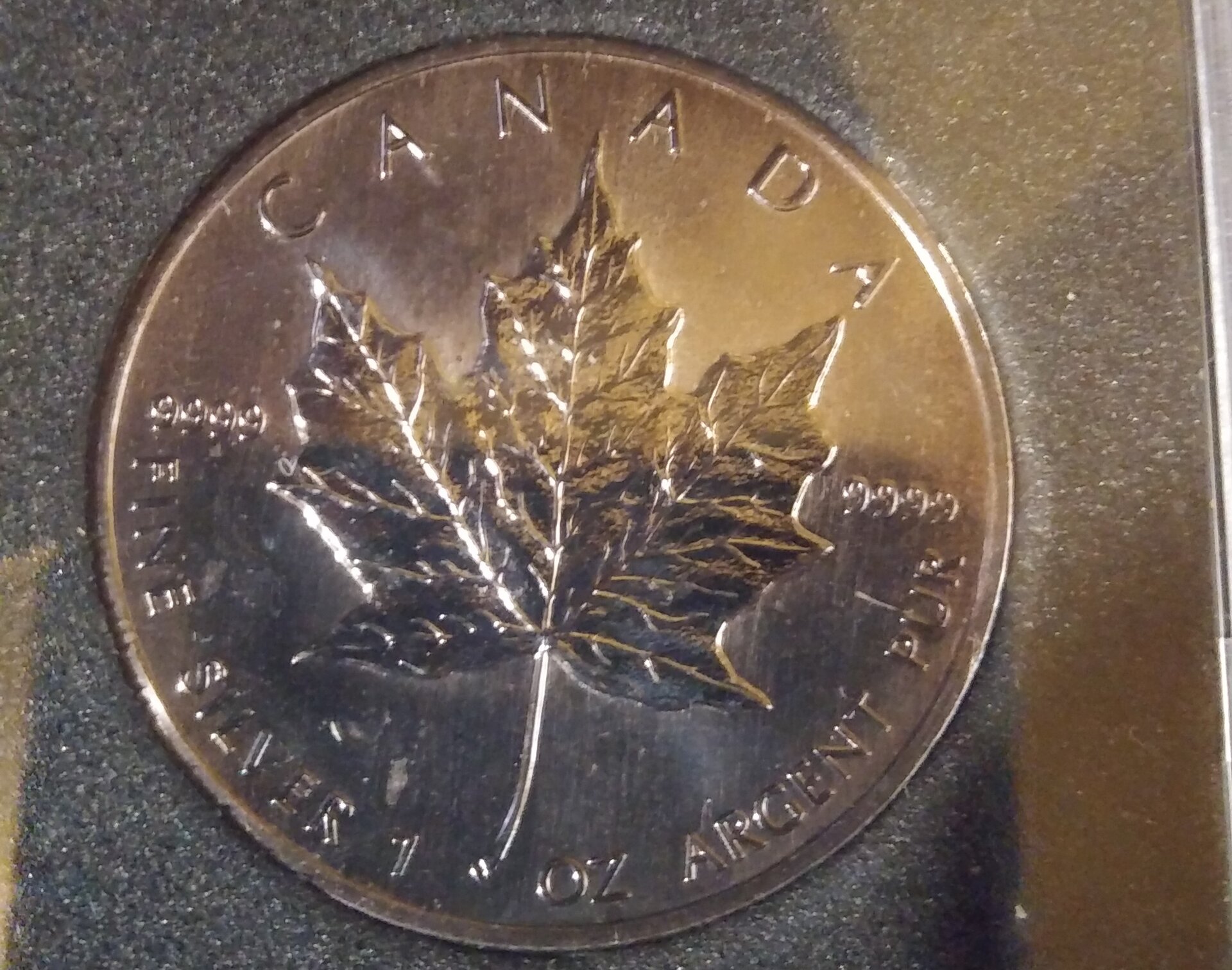 $5 Canadian Proof Reverse.jpg