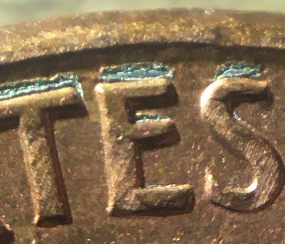 5-ccfopt.jpg