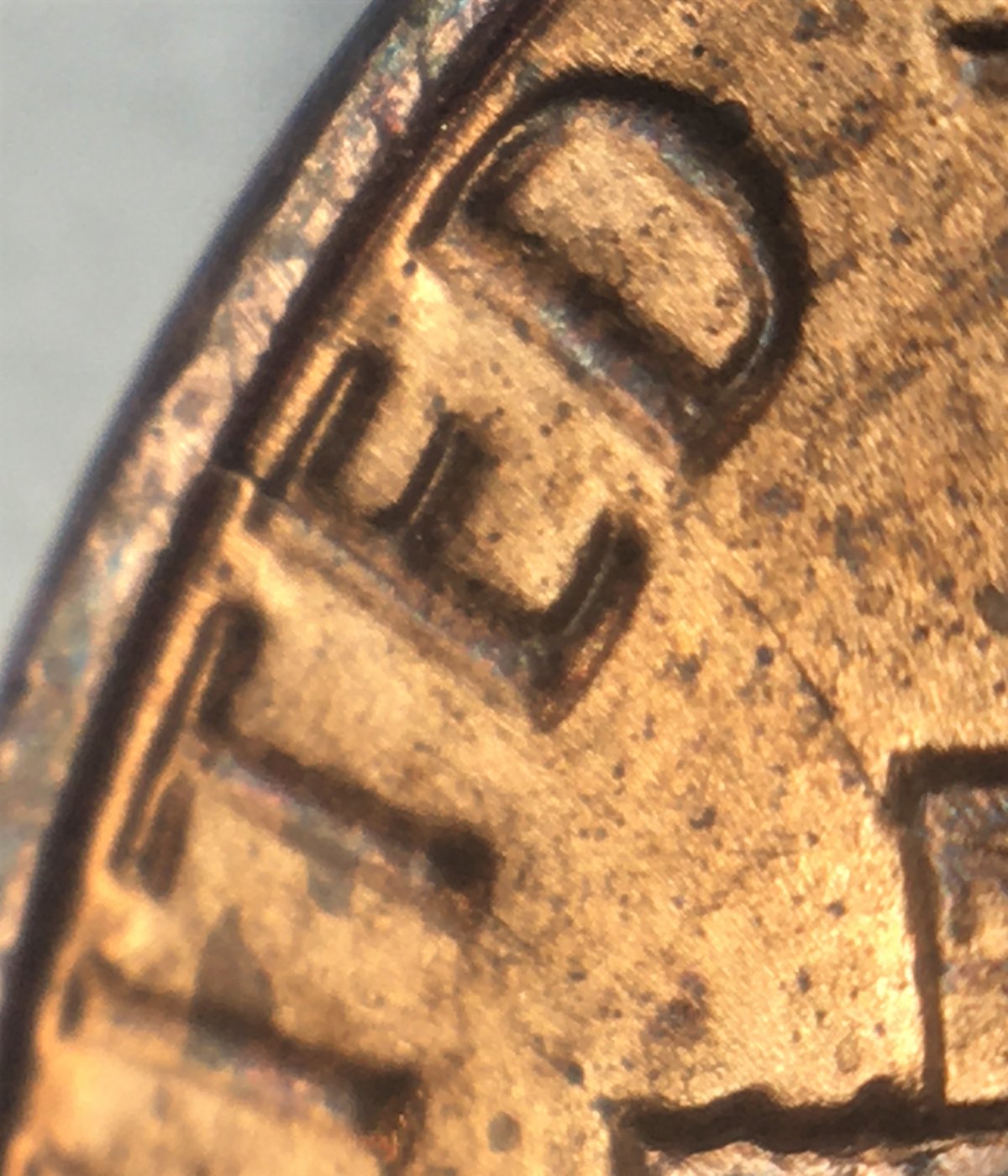 5-ccfopt.jpg