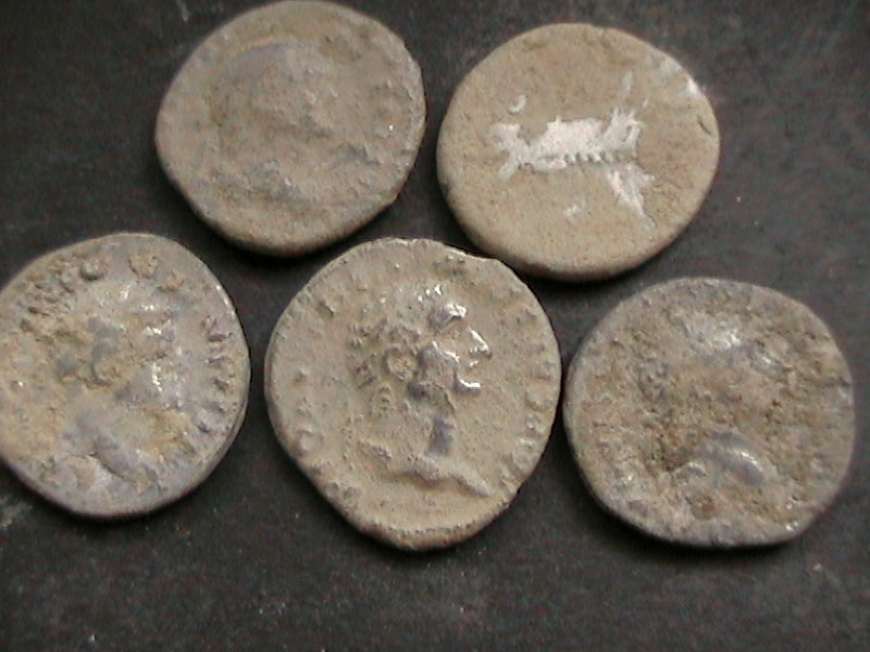 5 denarii 014.JPG