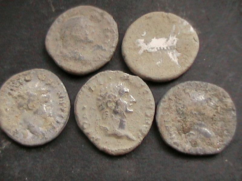 5 denarii Obv.jpg