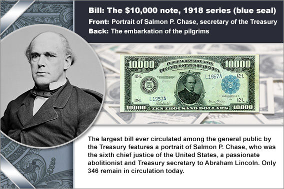 5-salmon-chase.jpg