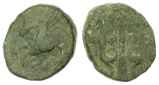 50006q00.jpg