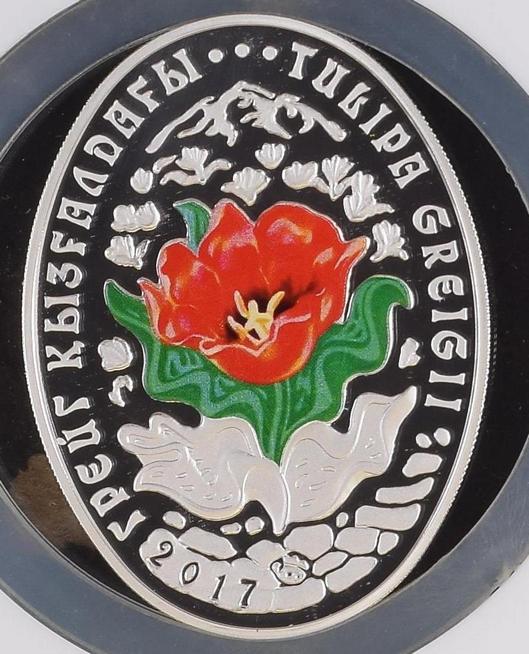 500_tenge_Kazakhstan_2017_commem_Tulipa_greigii_pic03_lo_res.jpg