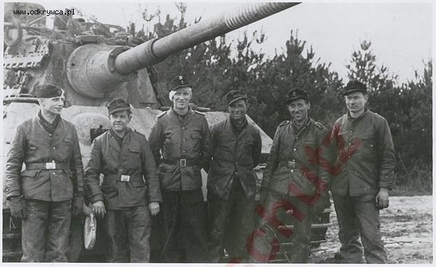 503www.odkrywca.jpg