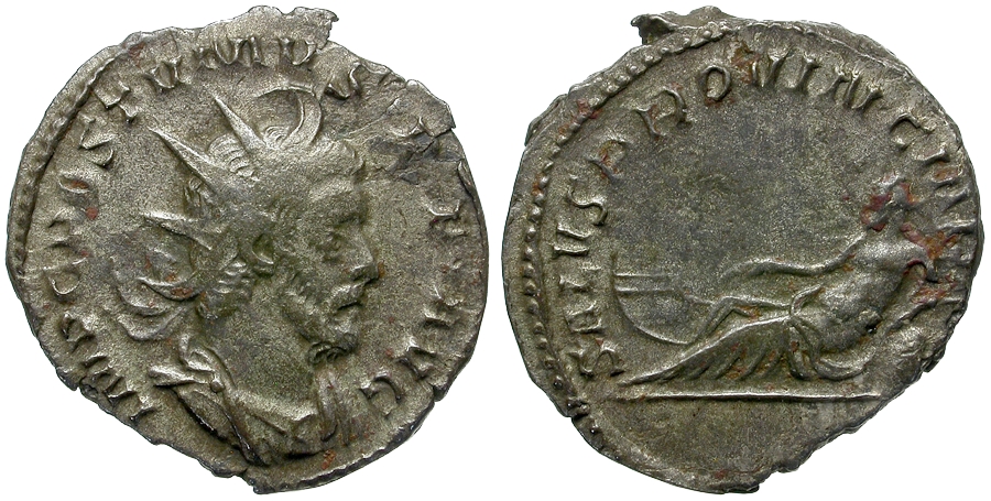 50956.jpg