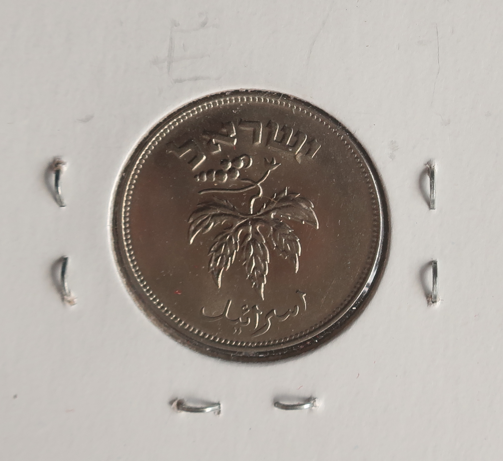 50_putah_1954_o_2.png