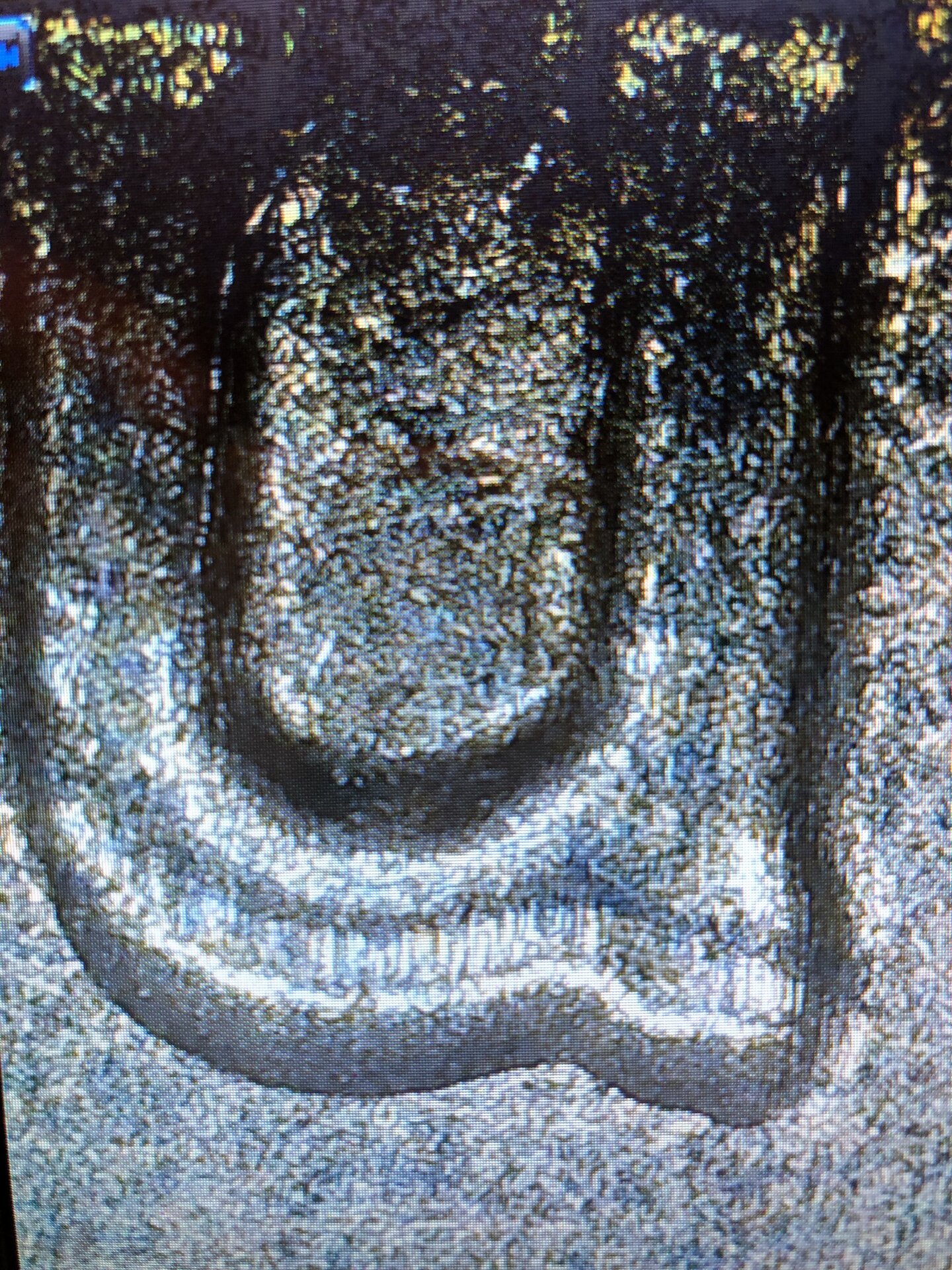 50C308D7-9E02-4DD6-9CFA-BDE13BB2EC10.jpeg