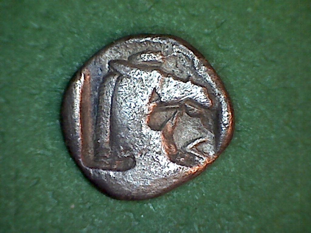 515.jpg