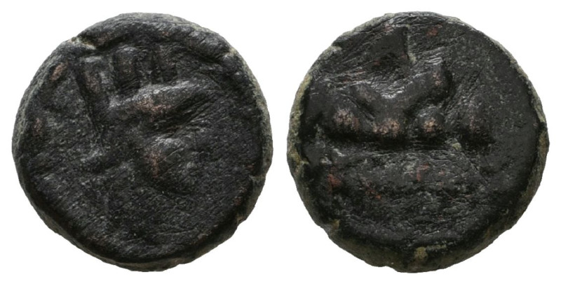 5153358_1708352080.l.jpg