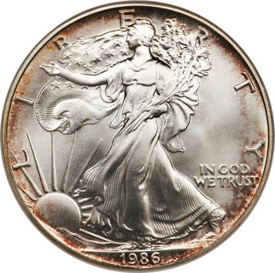 51573511.jpg
