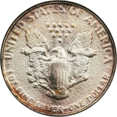 51573543.jpg