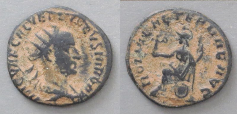 516165s800.jpg