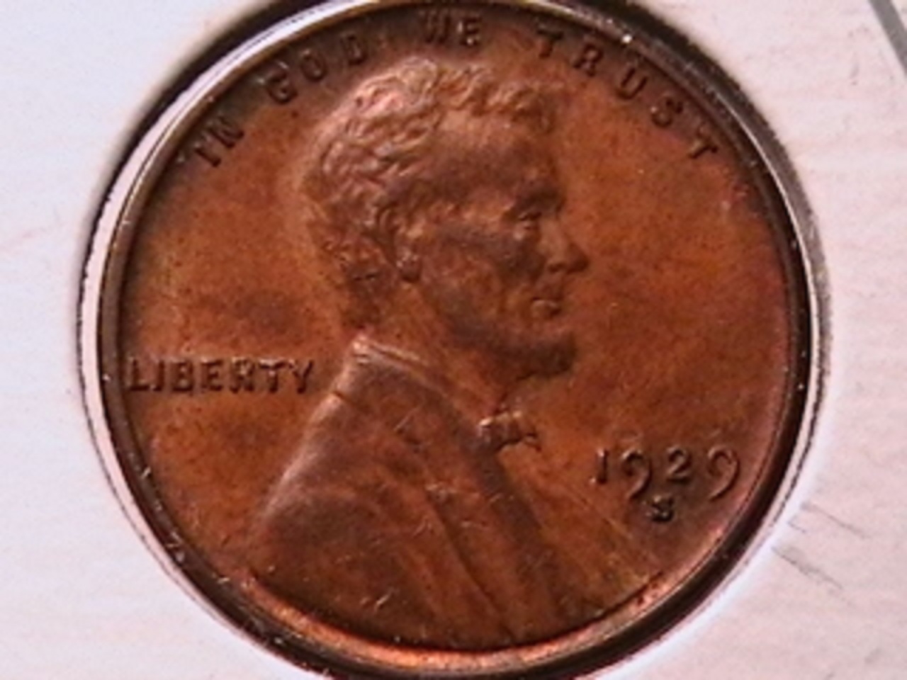 51b.jpg